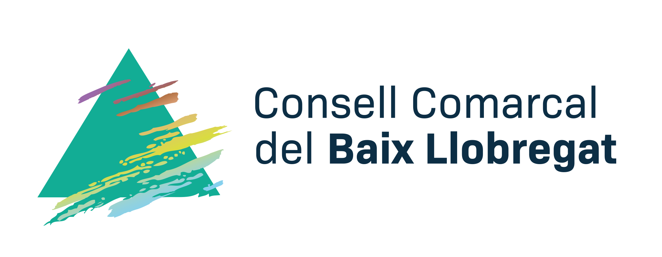 Acta Digital - Consell Comarcal Del Baix Llobregat
